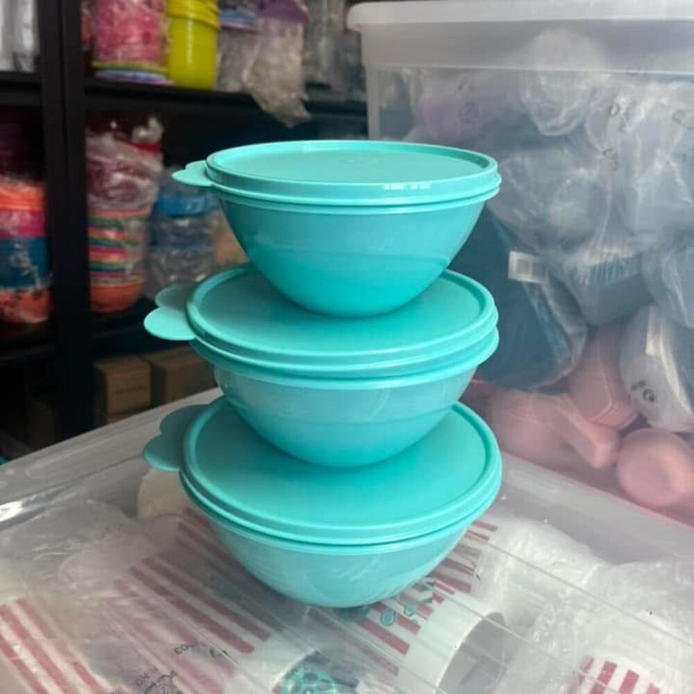 Tupperware Wonderlier Bowls 3-pc Set